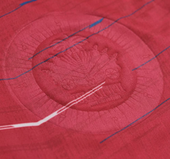 Customize it: Your Name | Your Number